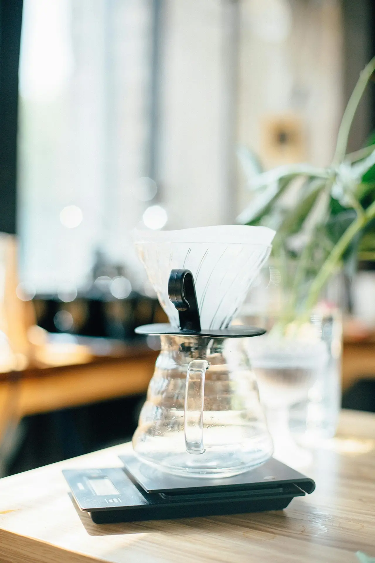 Italian Coffee Workshop